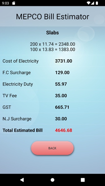 MEPCO Bill - Preview 6