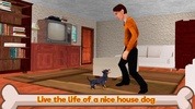 Chihuahua Dog Simulator 3D screenshot 4