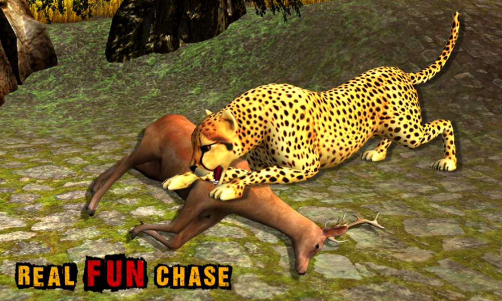 African Cheetah Wildlife - Preview 13