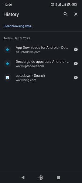 Kiwi Browser - Preview 12