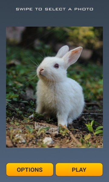 Cute Rabbits Puzzle - Preview 3
