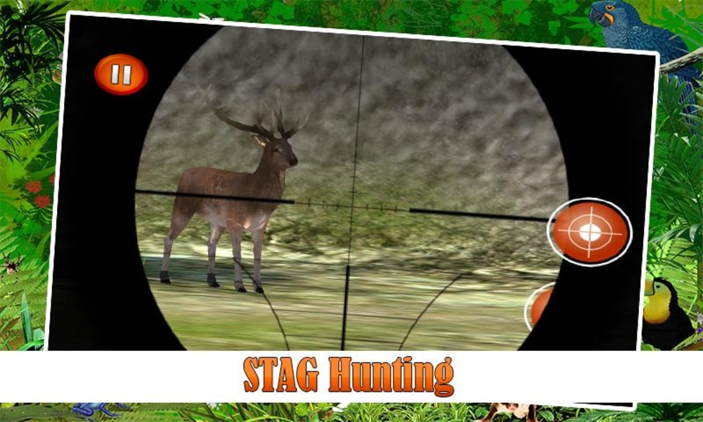 Jungle Hunting 2015 - Preview 12