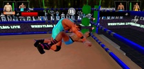 Tag Team Wrestling Games: Mega Cage Ring Fighting screenshot 8