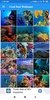 Coral Reef HD Wallpapers screenshot 8