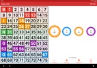 Bingo Caller screenshot 8