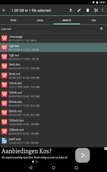 FTP Express - Preview 4