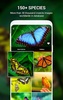 Insect identifier by Photo Cam screenshot 1