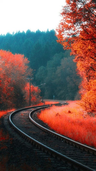 Autumn Wallpaper HD - Preview 6