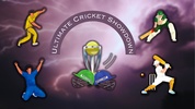 Ultimate Cricket Showdown screenshot 1