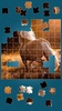 Horses Jigsaw Puzzle Game screenshot 11