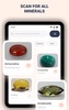 Identify Rocks & Stones ID screenshot 8