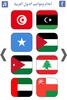 أعلام وعواصم الدول العربية screenshot 3