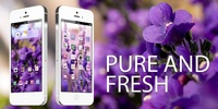Pure And Fresh GO Theme screenshot 1