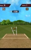 Flick Cricket 3D screenshot 1