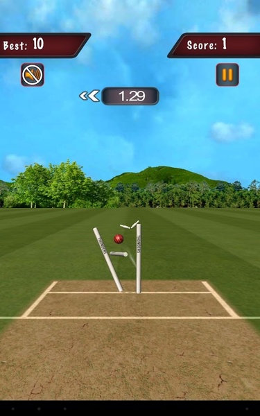 Flick Cricket 3D - Preview 1