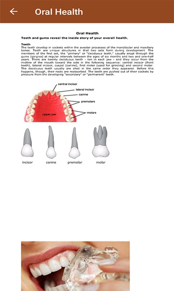 Human Anatomy - Preview 11