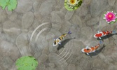 Feed the Koi fish Kids Game screenshot 1