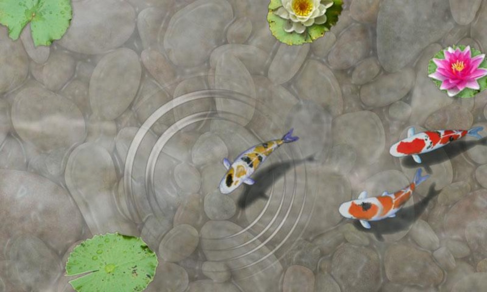Feed the Koi fish Kids Game - Preview 1