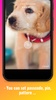 Cute Puppy Lock Screen screenshot 5
