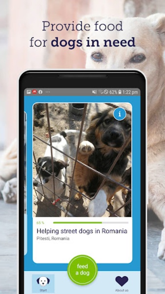 feed a dog - Preview 6