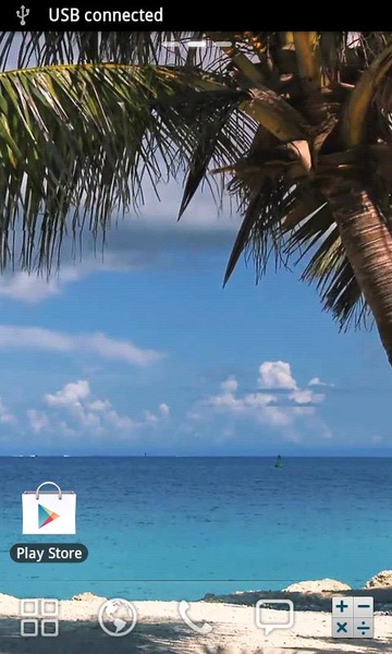 Beach Palm Tree Live Wallpaper - Preview 1