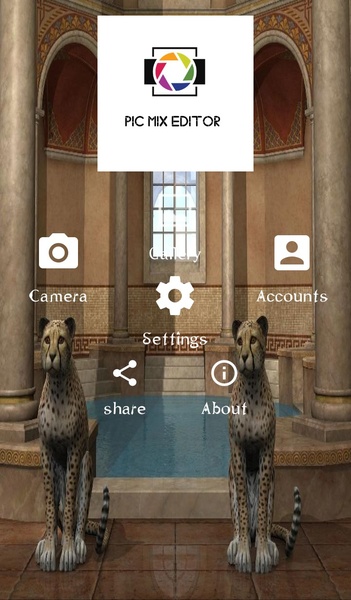 Pic mix Editor - Preview 5