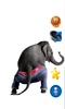 춤 이야기 코끼리 screenshot 9