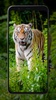 Tiger Wallpapers screenshot 5