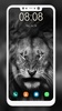 Lion Wallpapers HD screenshot 1