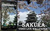Sakura Video Live Wallpaper screenshot 4