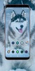 Siberian Husky Wallpaper screenshot 7