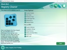 Black Bird Registry Cleaner screenshot 1