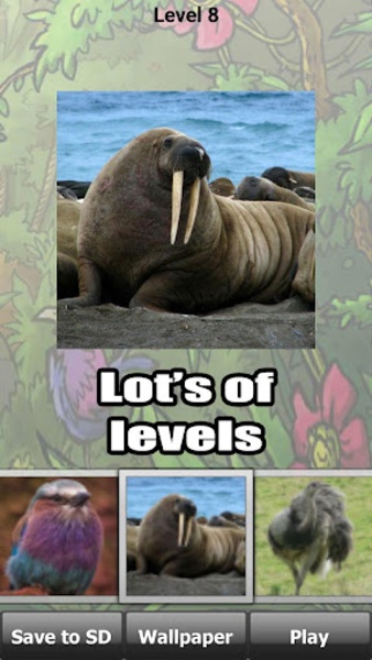 Wild Animals Puzzle - Preview 1