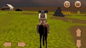 Horse riding simulator 3D 2016 screenshot 4
