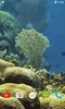 Marine Aquarium Live Wallpaper screenshot 1