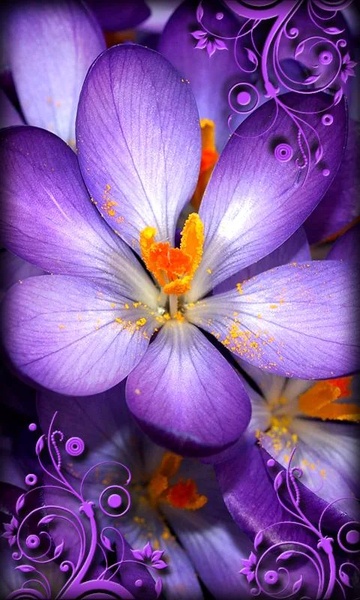 Purple Flowers Live Wallpaper - Preview 2