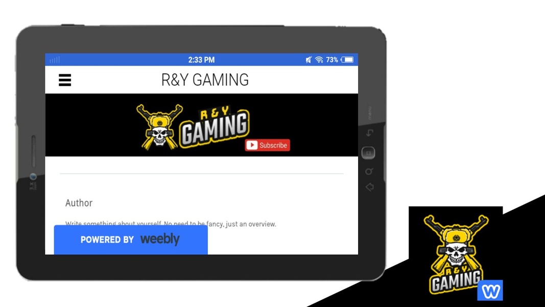 R&Y GAMING - Preview 1
