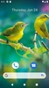 Bird Wallpaper HD screenshot 5