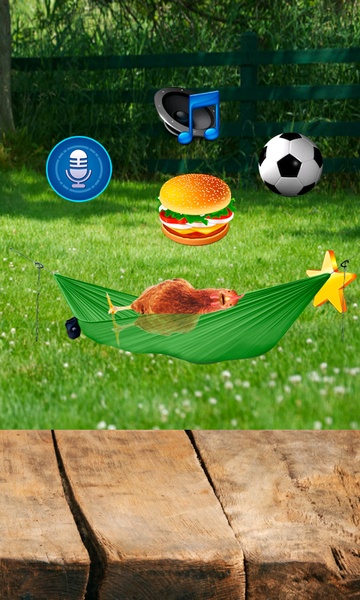 Real Talking Chicken - Preview 2