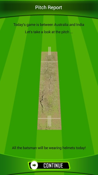 The Best Cricket Game Ever - Preview 21