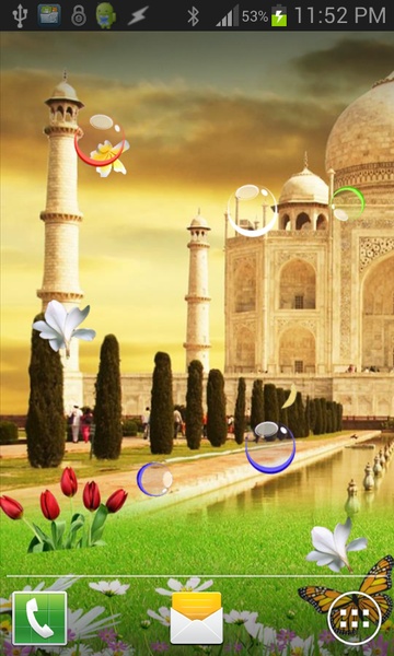 TAJMAHAL BIRDS Live Wallpaper - Preview 4
