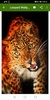 Leopard Wallpapers screenshot 10