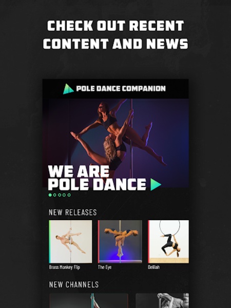 Pole Dance Companion - Preview 3