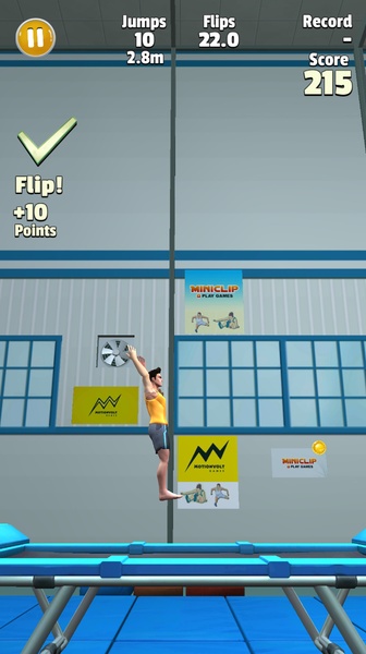 Flip Master - Preview 11