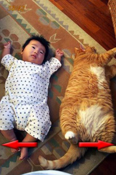 Funny Pics 2 - Preview 1