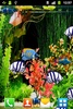Blue Aquarium Wallpaper screenshot 1