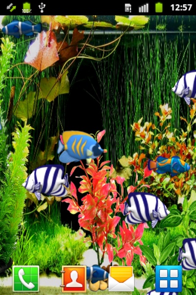 Blue Aquarium Wallpaper - Preview 1