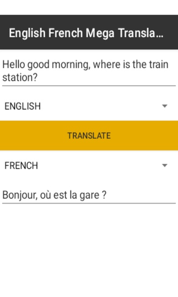 English French Mega Translator - Preview 4