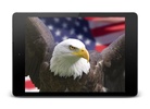 Flag of USA Live Wallpaper screenshot 2