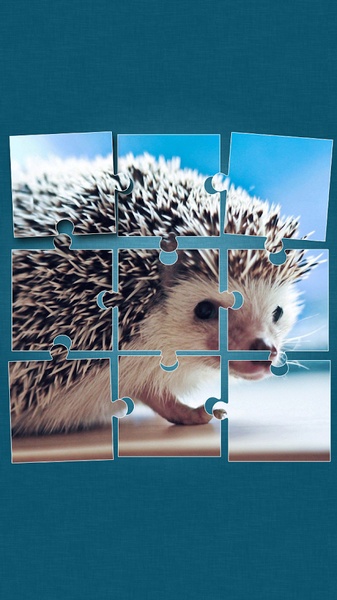 Animals Jigsaw Puzzle - Preview 5